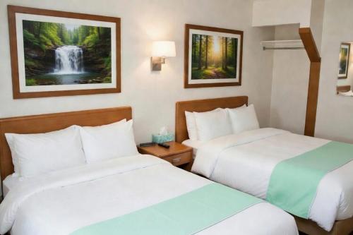Ely Hotel | Paddle Inn