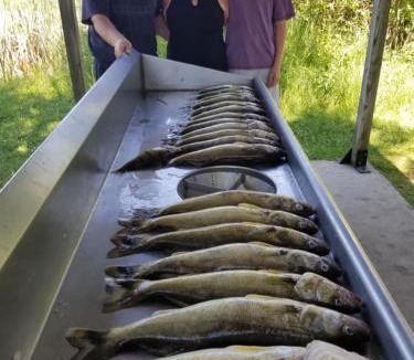 Au Gres Boat Rental | AuGres Walleye Assassin Charters