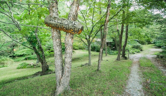 Cottage in the Woods near Asheville. Pets allowed