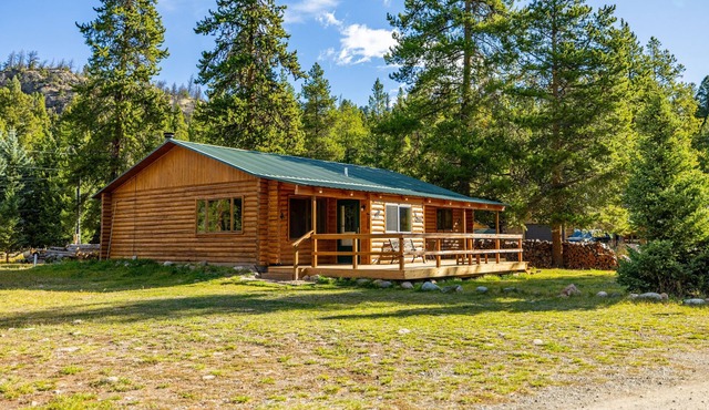 Holler's Hideout- Pet Friendly, Family Cabin, Mountain Views