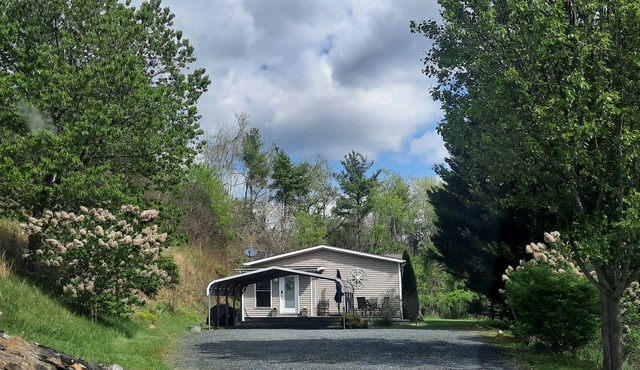 Mountain Retreat in Blue Ridge Mountains. Privacy! Owner Managed.