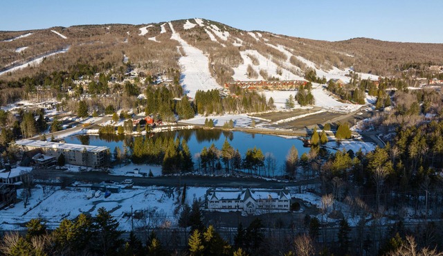 NEW Ski in/out condo with Mt views, hot tub, porch, gym & wifi!